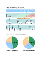 [국제경영] 질레트와 쉬크의 한국시장 진입과 도루코의 대응전략 분석-11