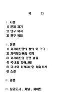 지적재산권 문제점 및 해결대안-2