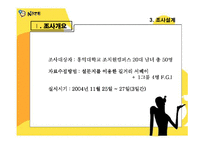 네이트온 메신저의 커뮤니케이션전략 수립을 위한 조사-8