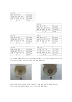 [식품분석] 콩가루, 메주가루, 청국장 가루, 된장가루 수분함량과 조회분-7