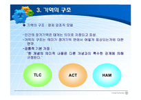 [교육심리] 학습의 인지심리학적 접근-11