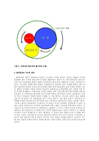 [커뮤니케이션] 독도문제와 관련한 의제설정이론과 냄비현상에 대한 고찰-12