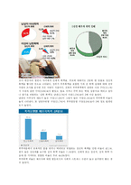 가정폭력 문제에 관한 총체적 분석-17