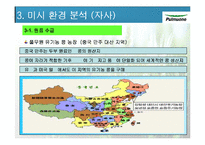 [마케팅원론] 풀무원 유기농 콩 두부 마케팅전략-12