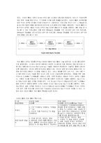 [뉴미디어] 지상파 DMB와 위성 DMB-3