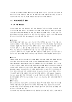 [뉴미디어] 지상파 DMB와 위성 DMB-9