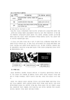 광고 속의 성차별-5