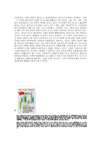 [무역학] 문화산업의 개방에 따른 우리의 대응책 -한류열풍-6