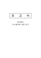 [조사방법론] 싸이월드 미니홈피에 관한 연구-1