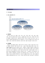 [마케팅] 결혼정보업체 듀오 마케팅전략-11