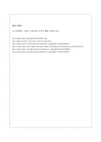 [소비자행동론] 성형관광 소비자 구매과정 분석-18