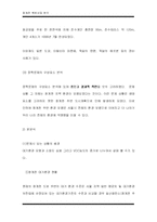 [행정학] 청계천 복원 사업에 관한 정책 분석-10