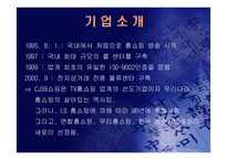 (홈쇼핑 분석) 홈쇼핑의 마케팅 전략과 사업 전략 및 기업 경영 분석(고급 프레젠테이션 자료)-3