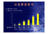 (홈쇼핑 분석) 홈쇼핑의 마케팅 전략과 사업 전략 및 기업 경영 분석(고급 프레젠테이션 자료)-11