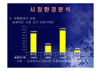 (홈쇼핑 분석) 홈쇼핑의 마케팅 전략과 사업 전략 및 기업 경영 분석(고급 프레젠테이션 자료)-13