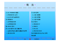 [마케팅 전략 분석] LG 휘센의 국제마케팅 전략-2