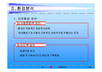 [마케팅 전략 분석] LG 휘센의 국제마케팅 전략-5