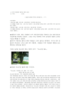 [광고와 소비자] 사회적 증거의 법칙에 대한 분석과 광고 및 마케팅 사례-7
