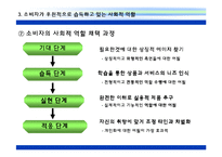 [소비자 분석] 소비자의 사회적 역할에 대한 이해와 실례 분석-11