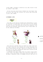 [광고와 소비자] 저가화장품 브랜드 리포지셔닝에 대한 전략-8