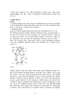 [간호학과 A+] 성인간호학실습 신경과 뇌졸중,Cerebral infarction CASE STUDY-4