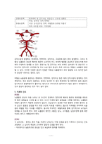 [간호학과 A+] 성인간호학실습 신경과 뇌졸중,Cerebral infarction CASE STUDY-7