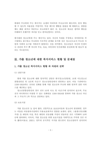 청소년 복지 - 청소년을 위한 복지 서비스 발전방안-6