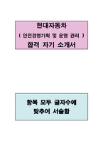 현대자동차 (안전경영 기획 및 운영 관리) 분야 합격 자기소개서-1