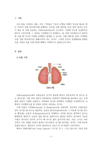 운동생리학_호흡 기전과 호흡 조절 기전에 대해 서술하시오-3
