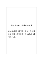 청소년프로그램개발및평가_자아정체감 형성을 위한 청소년프로그램 지도안을 작성하여 제시하시오-1