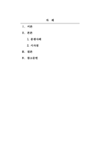 지식재산론_지식재산권의 분쟁사례와 시사점-2