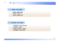 [소비자 행동론]문화와 소비자 행동, 사회계층과 소비자 행동 분석-2