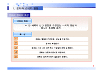 [소비자 행동론]문화와 소비자 행동, 사회계층과 소비자 행동 분석-3