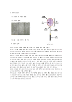 스포츠 분석 - 배드민턴-7