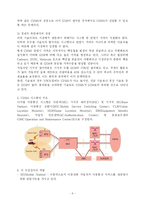 CDMA에 관하여 레포트-6