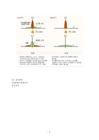 CDMA에 관하여 레포트-10