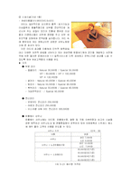 [사업계획서] 쉬리리조트 사업계획서-7