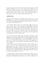 뉴에이지 음악에 대한 고찰-4
