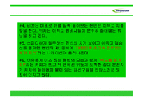 [광고학] KT 메가패스 광고 개선안-14