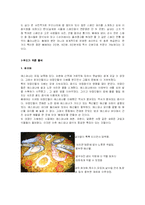 [음식문화] 쌀을 통해서 본 세계음식(이탈리아, 스페인, 태국)-7