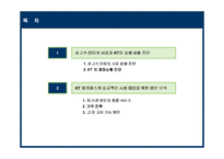 메가패스 KT의 성공적인 초고속 인터넷 시장 대응을 위한 전략-2