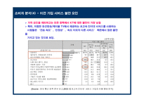 메가패스 KT의 성공적인 초고속 인터넷 시장 대응을 위한 전략-17
