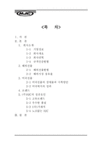[무역개론](주) HJC의 미국진출 전략 및 성공요인-2