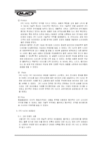 [무역개론](주) HJC의 미국진출 전략 및 성공요인-8