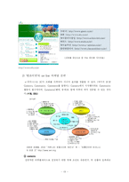 가상화장품 시장진입전략-13