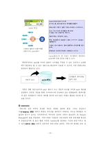 가상화장품 시장진입전략-16
