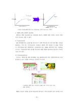 가상화장품 시장진입전략-18