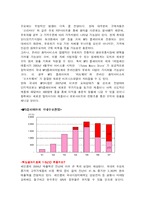 [경영공학](주)레인콤 경영평가-19