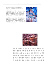 브라질의 문화 레포트-5