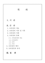 브라질의 문화 레포트-11